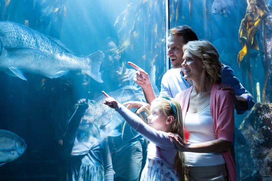Chicago: Attraction Pass with Shedd Aquarium-Save up to 50%<em> – Key Things That Make This Pass Worth Your Time’ /></p>
<ul>
<li><strong>30+ included attractions</strong> means you’re not guessing whether you picked the right “one big thing.”</li>
<li><strong>Digital guide + digital pass</strong> help you plan fast and move through attractions with less ticket hassle.</li>
<li><strong>360 Chicago and SkyDeck Chicago</strong> deliver the classic skyline payoff, and you can choose which one to prioritize.</li>
<li><strong>Reservation-heavy highlights</strong> (like 360, SkyDeck, and the Lakefront Speedboat Tour) require early planning.</li>
<li><strong>Flexible pacing</strong>: you don’t have to do everything—this works best when you pick a focused mix.</li>
</ul>
<h2 id="what-this-chicago-attraction-pass-really-gives-you">What This Chicago Attraction Pass Really Gives You</h2>
<p><img src=