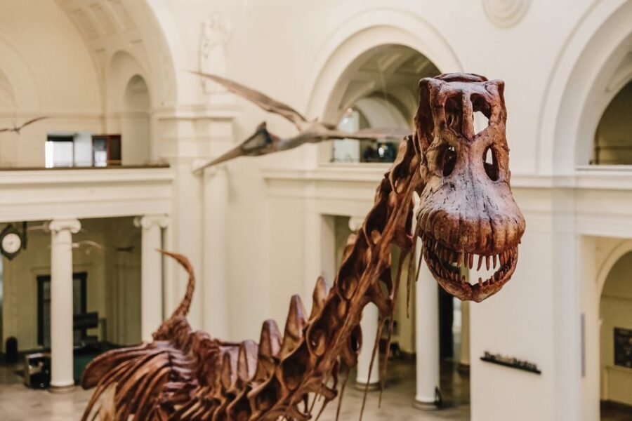 Chicago CityPASS®: Save up to 49% at 5 Top Attractions - The best way to schedule your 9-day window