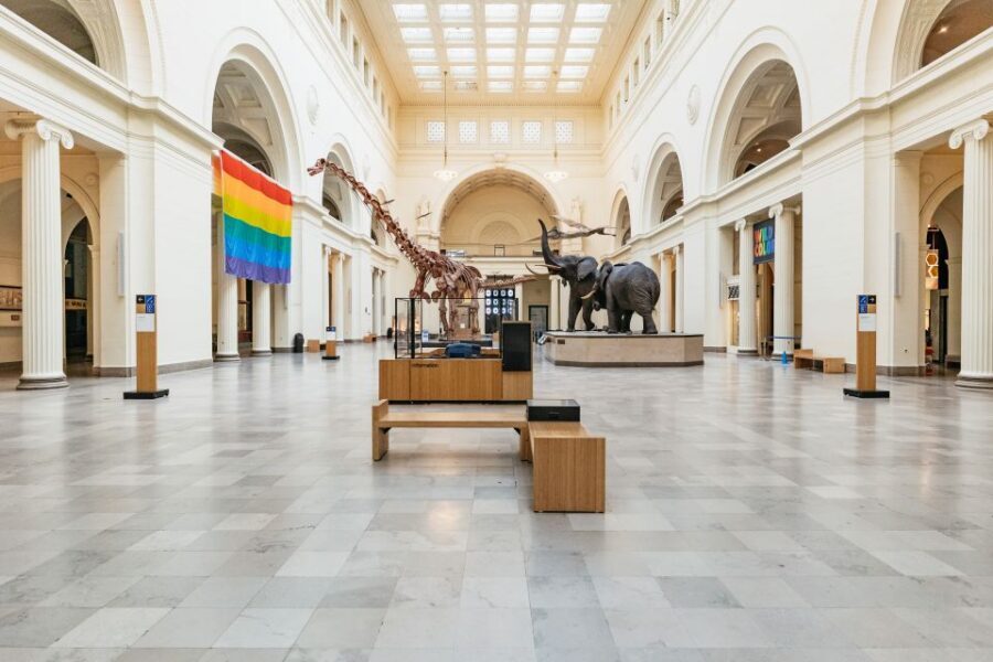 Chicago: Field Museum of Natural History Ticket or VIP Tour - Key Highlights You’ll Feel Immediately