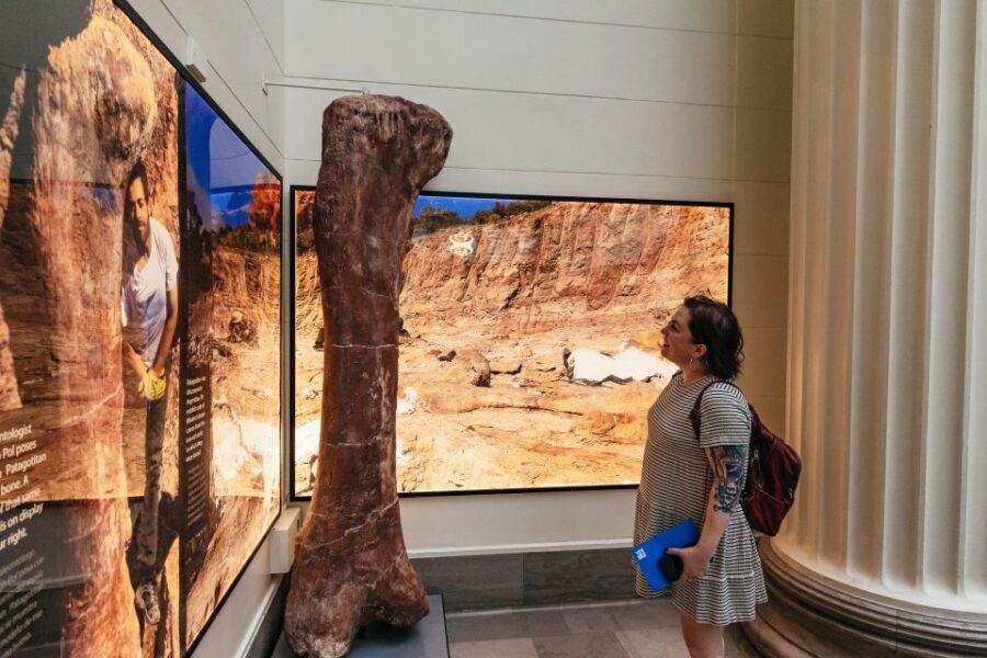 Chicago: Field Museum of Natural History Ticket or VIP Tour - What You’re Actually Buying: Four Ticket Styles for One Big Museum