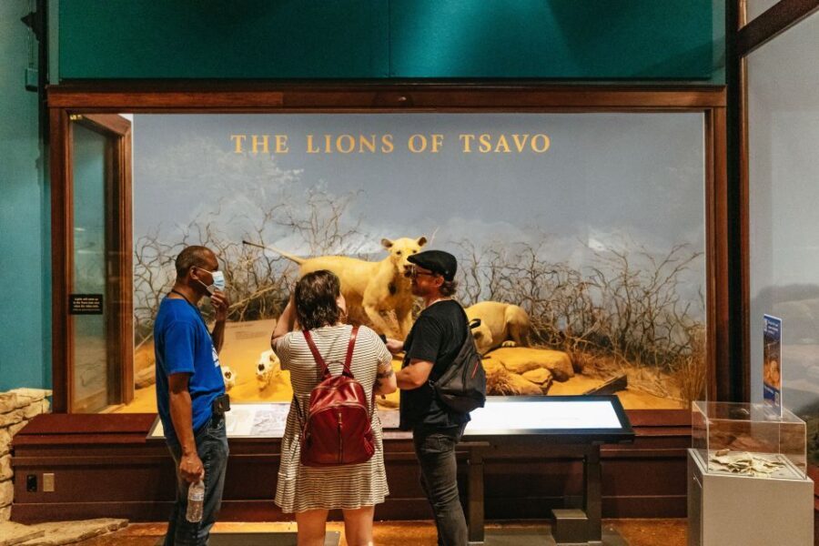 Chicago: Field Museum of Natural History Ticket or VIP Tour - Underground Adventure and the Quiet Magic of the Gems and Jade