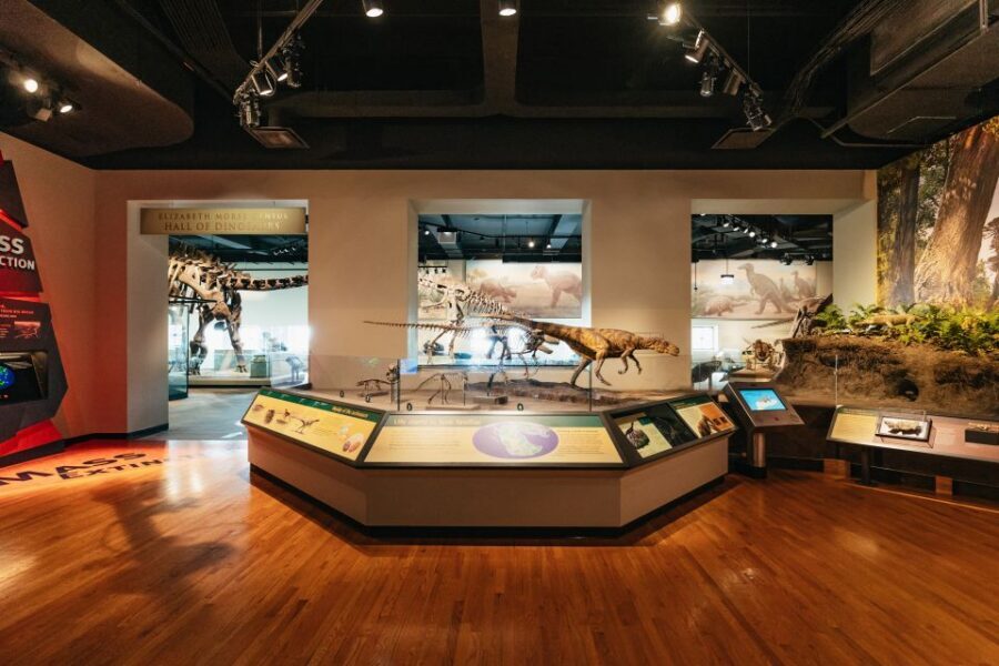 Chicago: Field Museum of Natural History Ticket or VIP Tour - Ancient Americas and Human Stories: Mammoth Hunters to Inca and Aztecs