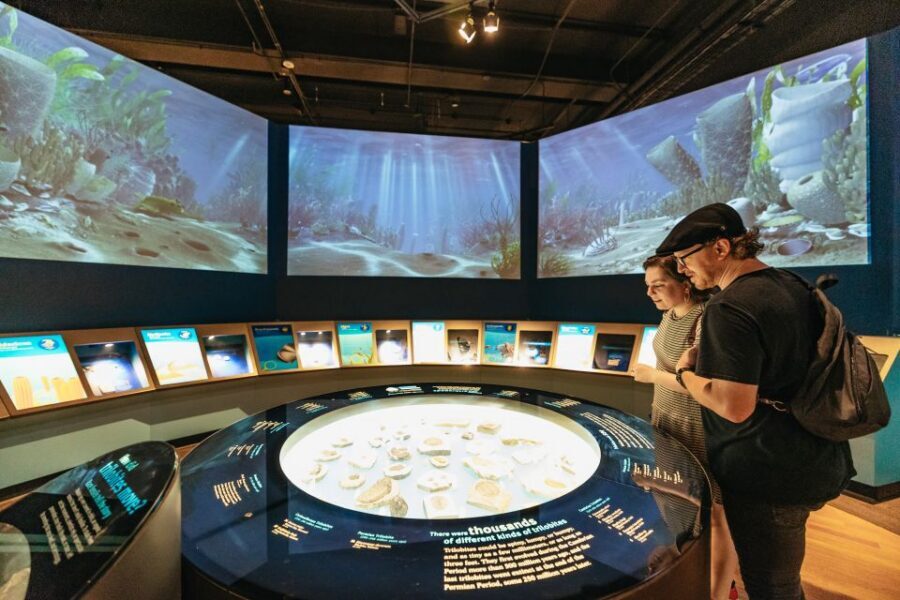 Chicago: Field Museum of Natural History Ticket or VIP Tour - Choosing Between Early Access VIP and All-Access Pass