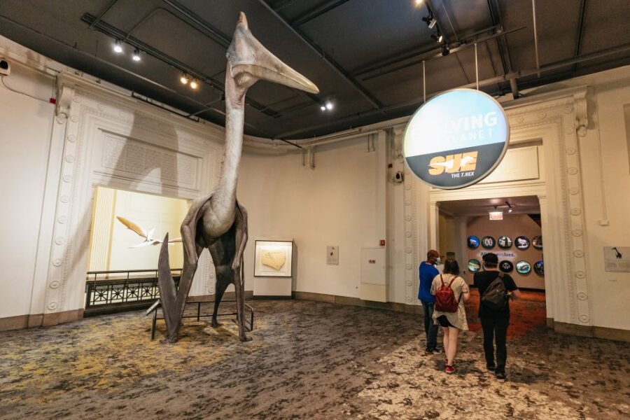 Chicago: Field Museum of Natural History Ticket or VIP Tour - Value Check: Is $29 Worth It for Your Day?