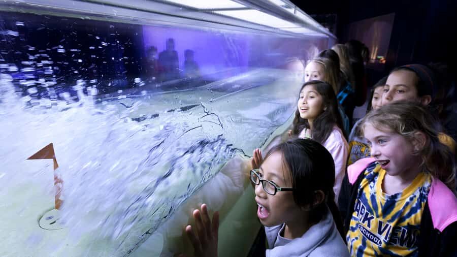 Chicago: Griffin Museum of Science and Industry Ticket - Timed entry, where to show up, and how to pace a full day