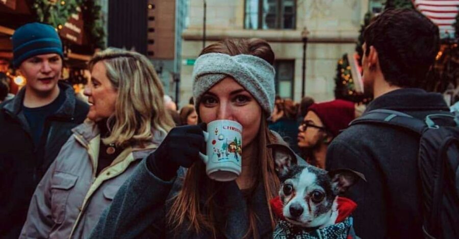 Chicago: Guided Holiday Walking Tour and Food Sampling - Why This 3-Hour Loop Tour Feels Worth the Money