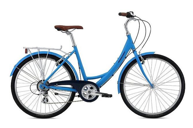 Chicago Half-Day Bike Rental - The lakefront route: Navy Pier views with real breathing room
