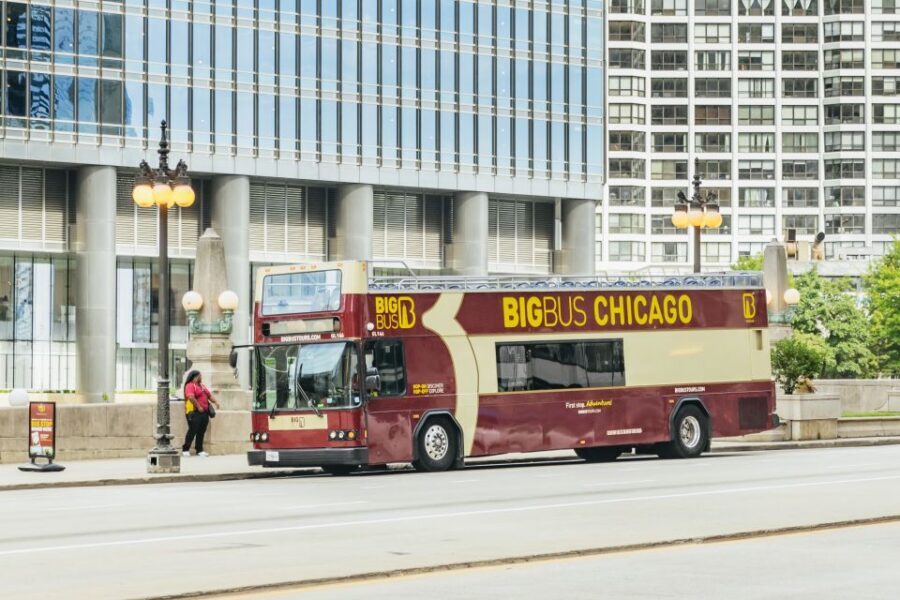 Chicago: Hop-on Hop-off Sightseeing Tour by Open-top Bus - The Magnificent Mile and the State Street theater belt: shopping time without stress