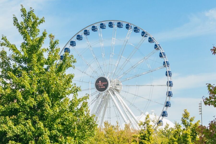 Chicago: Hop-on Hop-off Sightseeing Tour by Open-top Bus - Museum Campus and Adler Planetarium: where time turns into learning