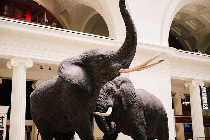Field Museum of Natural History All-Access Pass - Key Highlights to Plan For