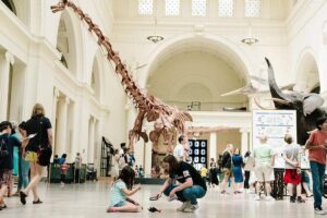 Field Museum of Natural History All-Access Pass - Check-In Reality: Vouchers, Lines, and Keeping Track