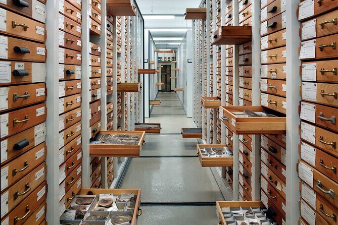 Field Museum of Natural History Early Access Ticket - Tour length: what the 2–4 hours really means