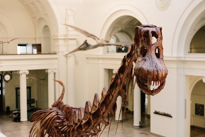 Field Museum of Natural History Early Access Ticket - The 8:00 a.m. window: why the morning pacing is the whole point