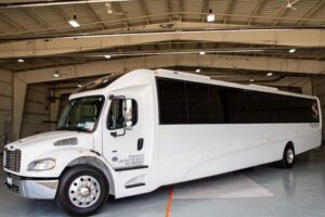 Luxury Minibus Chicago City Tour - From Soldier Field to Sue: the Field Museum stops curiosity on purpose