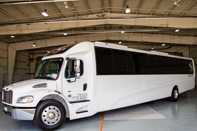 Luxury Minibus Chicago City Tour - From Soldier Field to Sue: the Field Museum stops curiosity on purpose