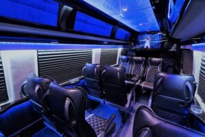 Private Chicagoland One-Way Transfer by Mercedes Sprinter - O’Hare pickup: the stress is mostly on the driver, not you
