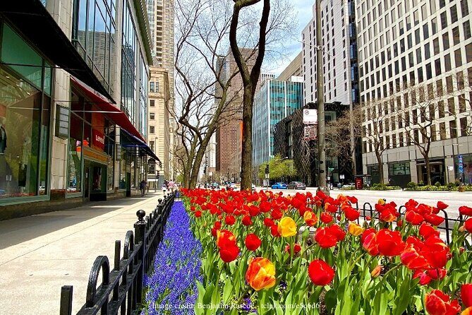 Welcome to Chicago: Private Half-Day Tour with 360 Observation Deck - Daley Bicentennial Plaza and DuSable Bridge: Real Chicago, Not Just Postcards