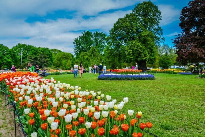 Windmill Island Gardens Day Tour from Chicago – Kids Save 50% - Key Points You’ll Care About