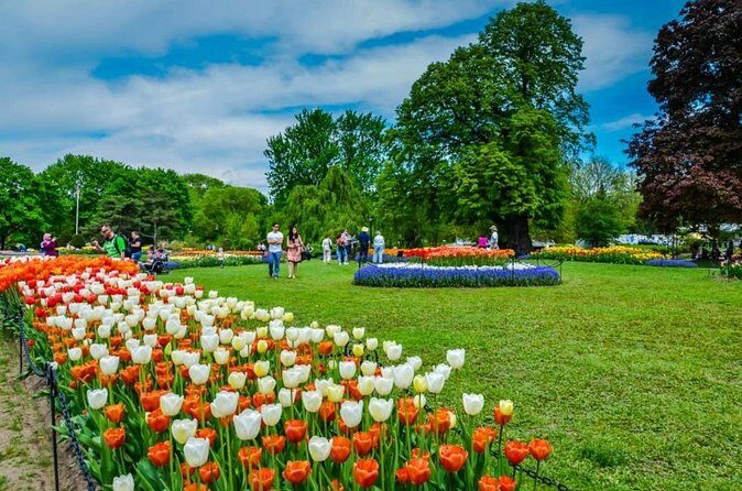 Windmill Island Gardens Day Tour from Chicago – Kids Save 50% - A Dutch-Favored Day Trip That Starts Before It Feels Like Morning