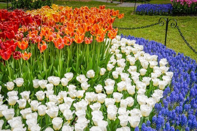 Windmill Island Gardens Day Tour from Chicago – Kids Save 50% - Windmill Island Gardens: Tulips, De Zwaan, and Your Photo Mission
