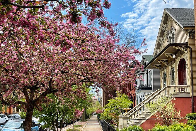 Workers Cottages of Oldtown Triangle Walking Tour - Old Town Triangle on foot: the “pre–Great Fire” feeling you can still find